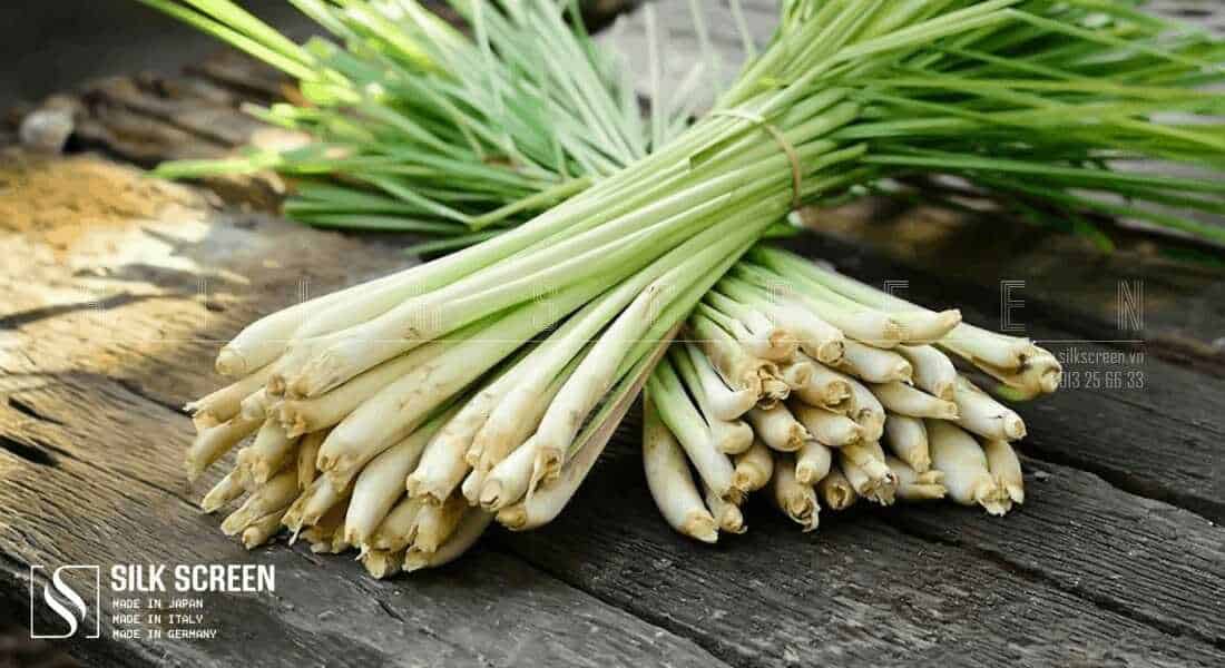 dùng sả đuổi muỗi
