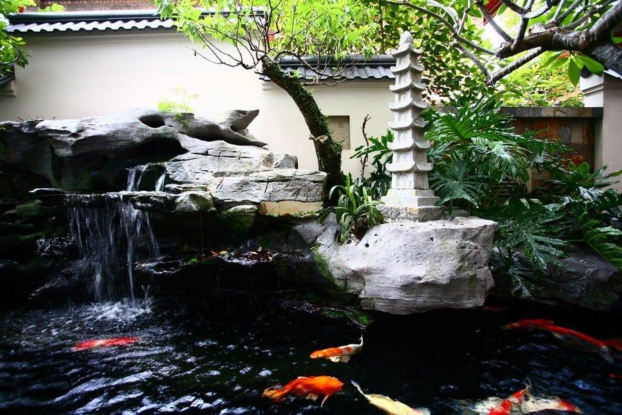 ava cá koi đẹp cho biệt thự