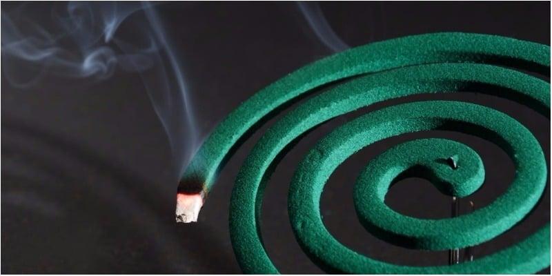 Hương muỗi có độc không